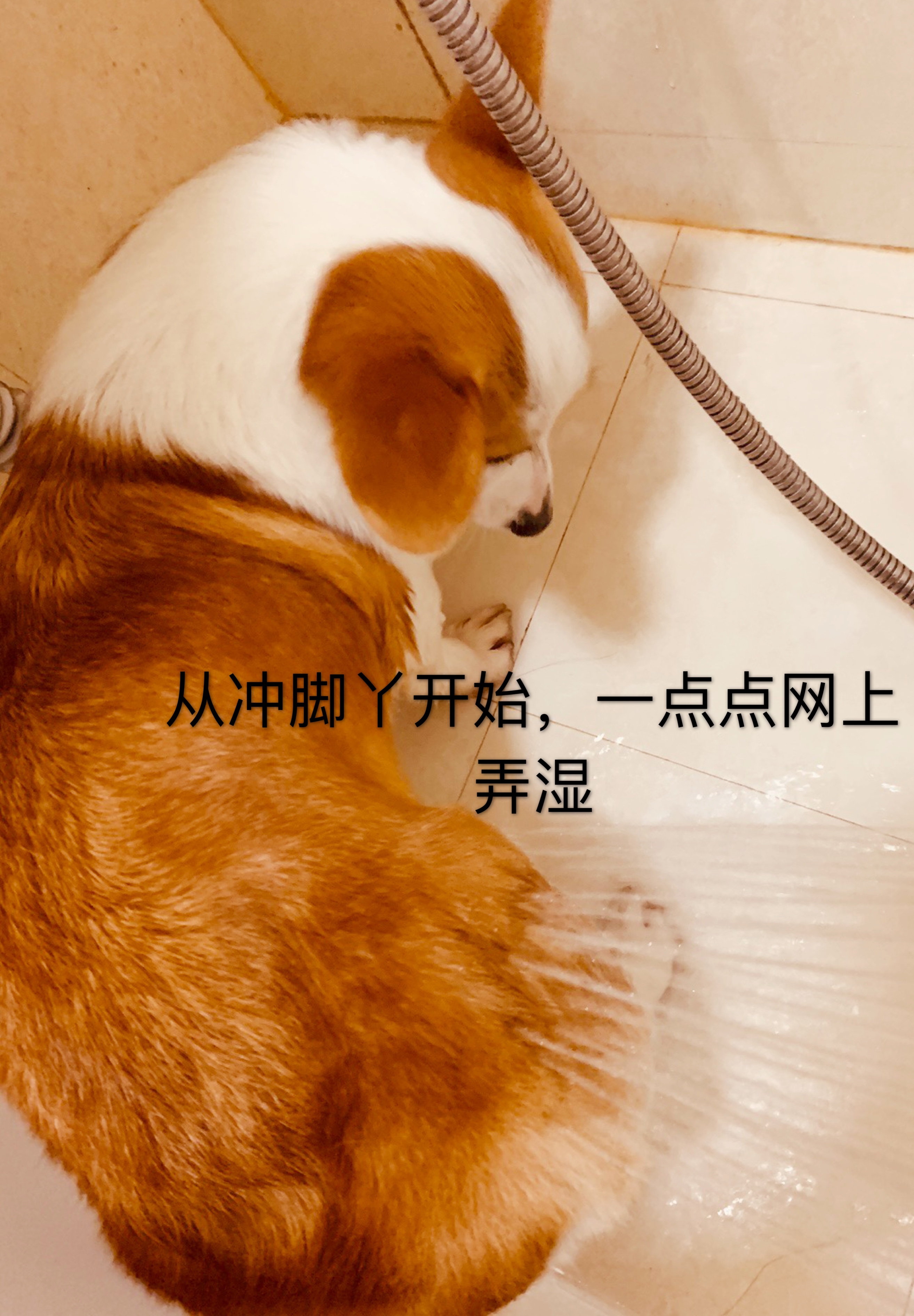 图片1