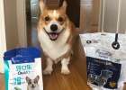Dental calculus-an oral problem that cannot be ignored in dogs