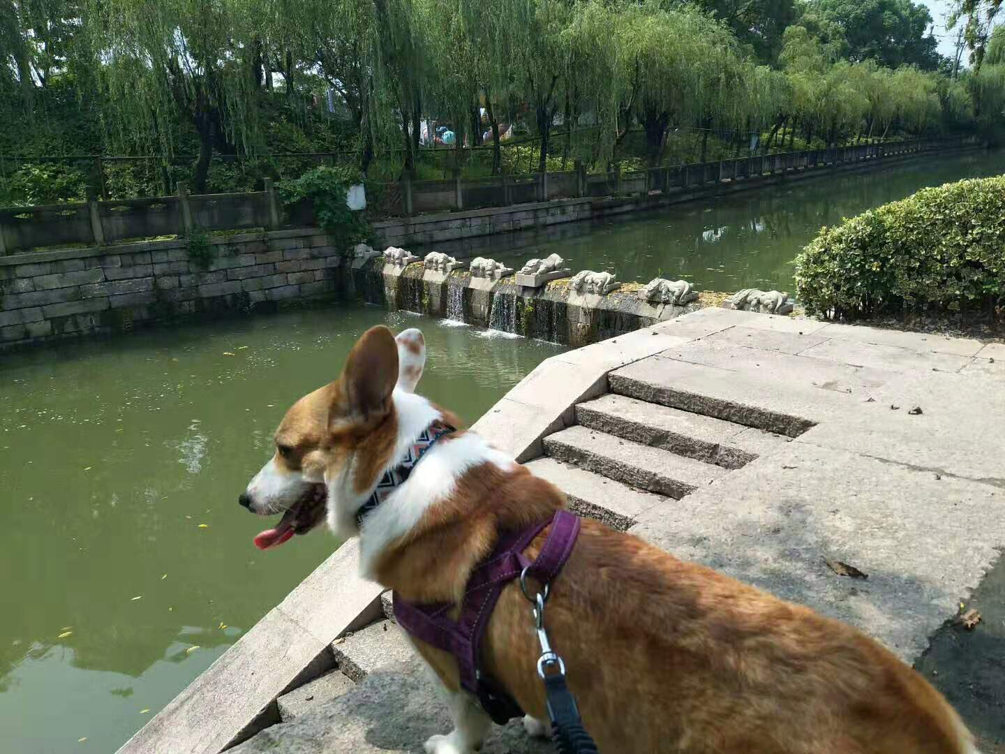 图片1