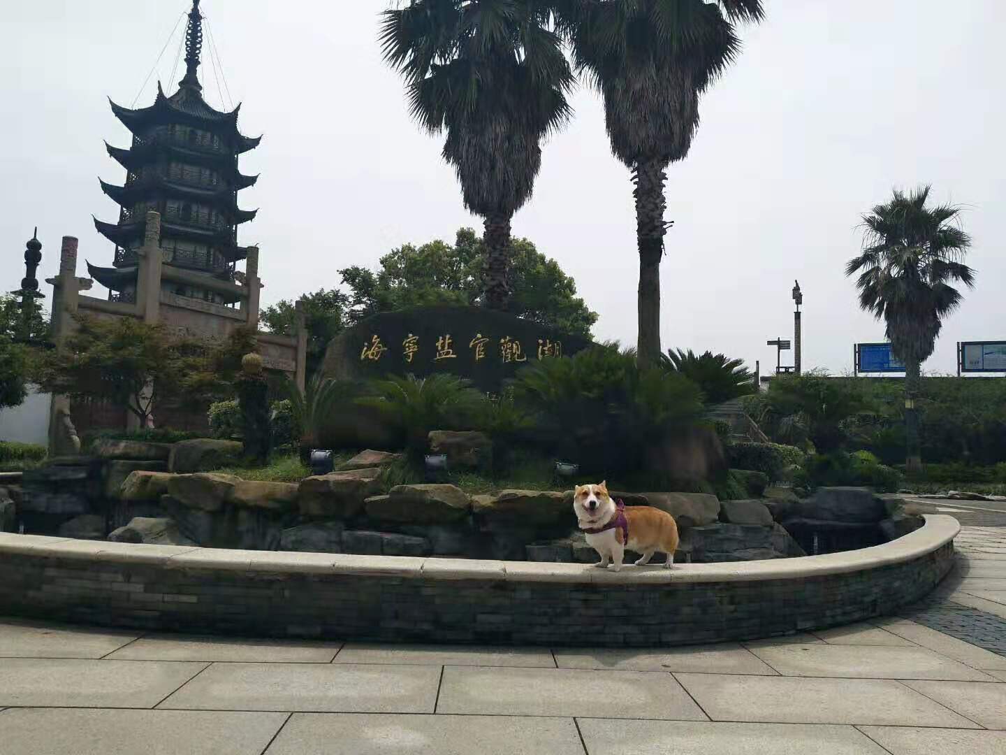 图片1