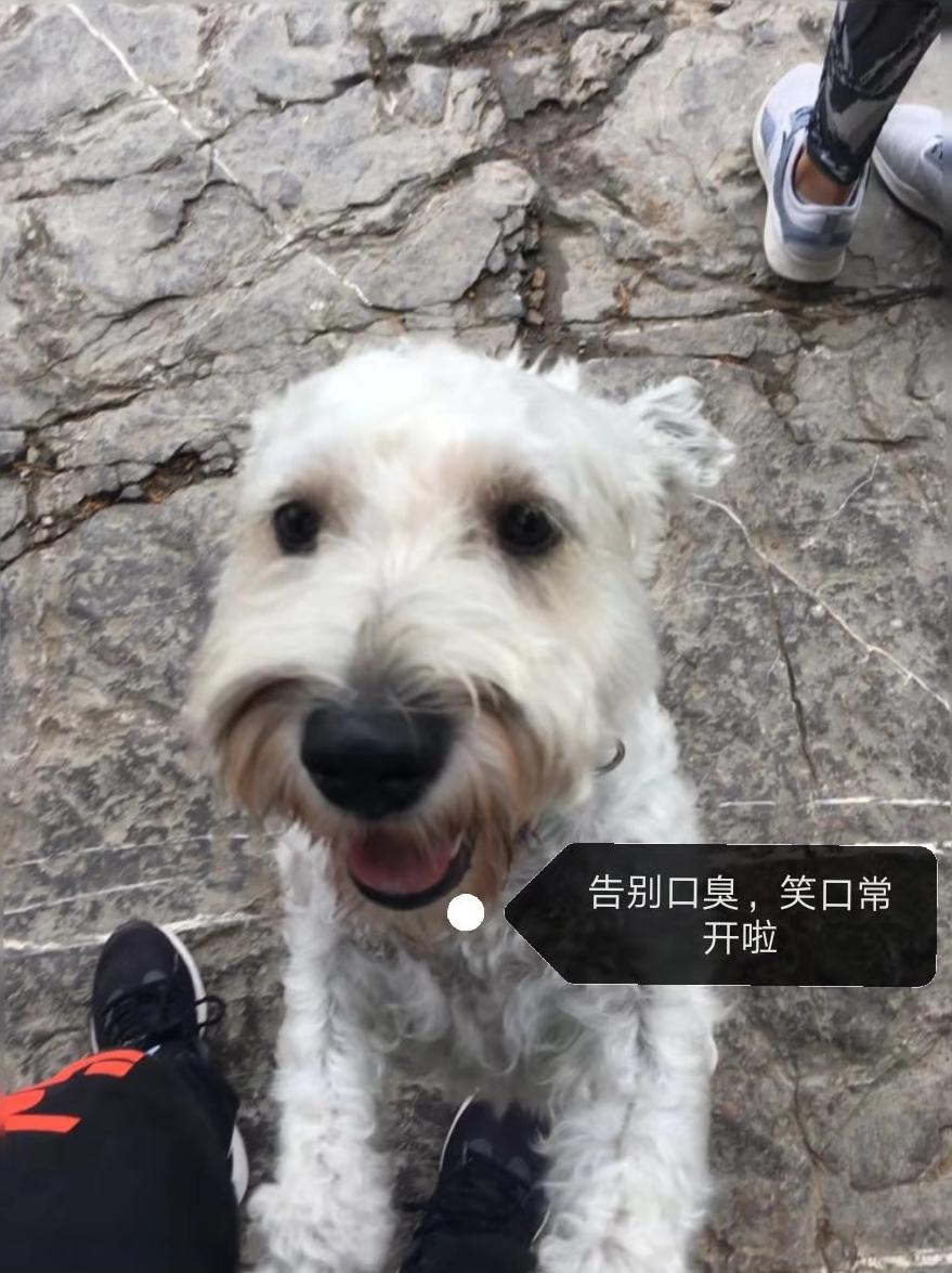 图片1