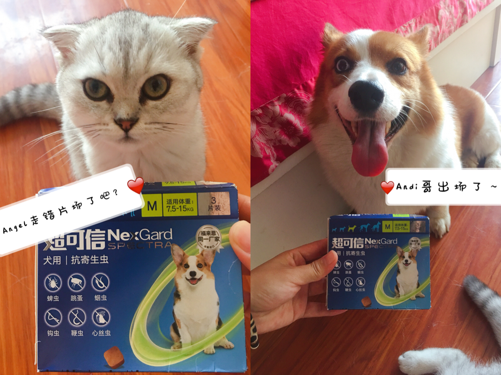 图片1