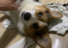 Didi shared experience in sterilization