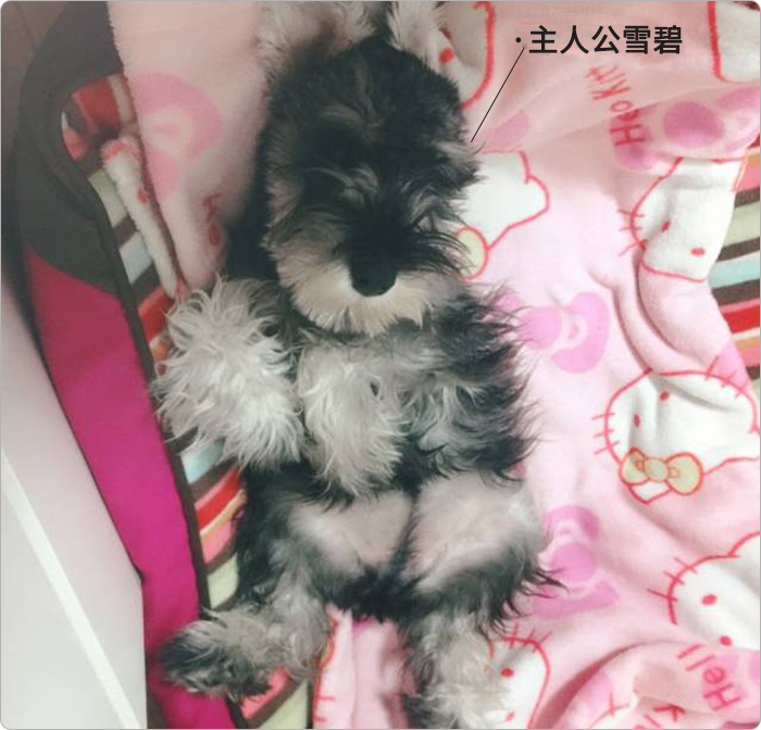 图片1