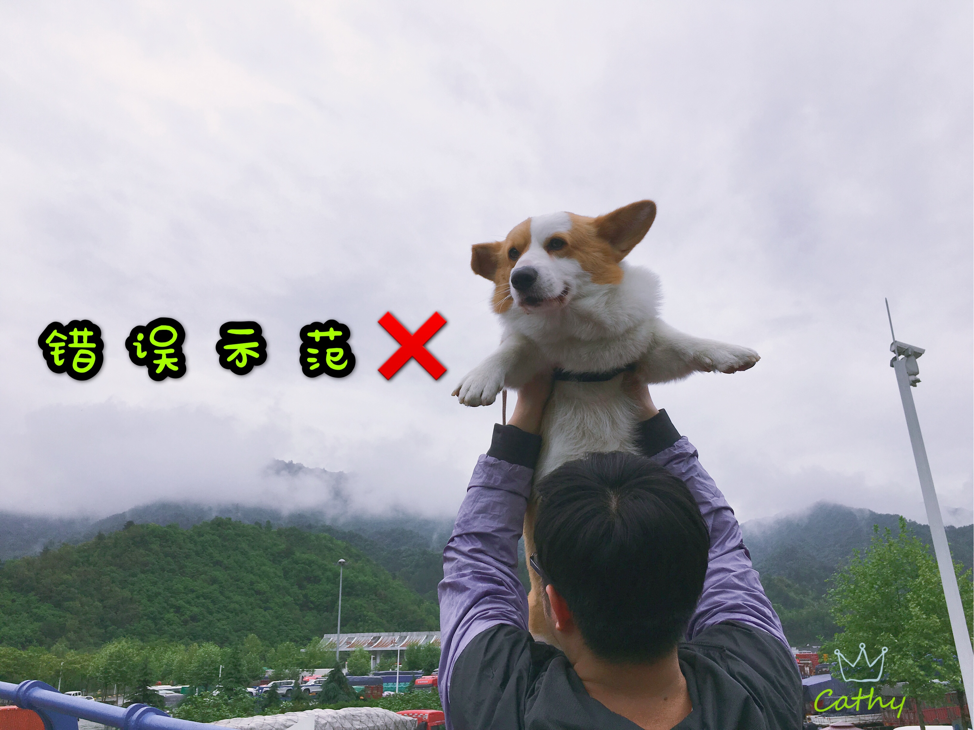 图片1