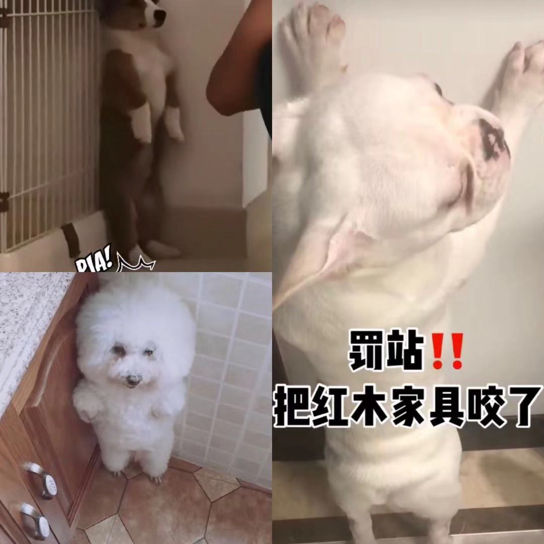 图片1