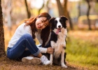 How to cure small week dogs? Ten days of treatment experience sharing
