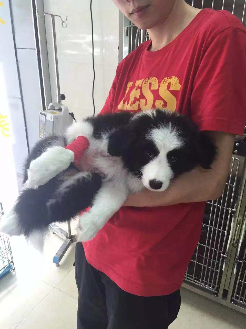 图片1