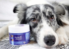 Make good use of it to activate probiotics and keep the intestines vibrant!