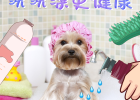 The correct 6 steps to bathing your dog will save you effort and worry!