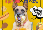 The wrong way to feed dog food