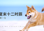 Wang Xingren's summer twelve o'clock, heatstroke prevention still comes first!