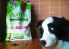 Have you ever tried pea-flavored dog food?