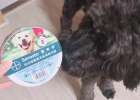 Waterproof, odorless, super easy-to-use Bayer dog insect repellent collar