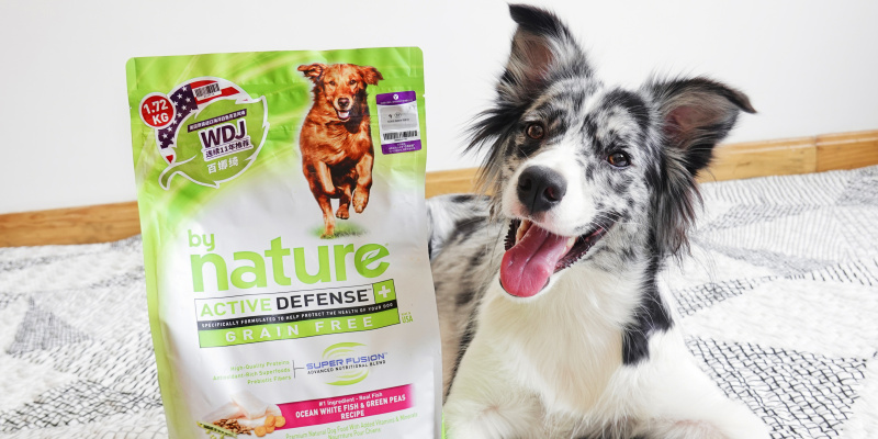 Gluten-free, low-sensitivity and easy digestion--Bainaqi Ocean White Fish and Green Pea-flavored Dog Food