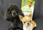 Balanced and comprehensive nutrition, marine white fish dog food