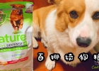The must-miss grain-free nutritious and delicious dog food-Bainaqi