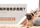 How dangerous is it to keep pets during pregnancy? Professional data reveals the truth