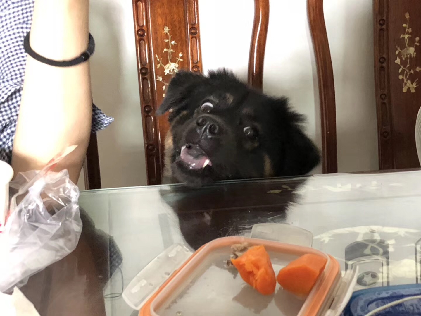 图片1