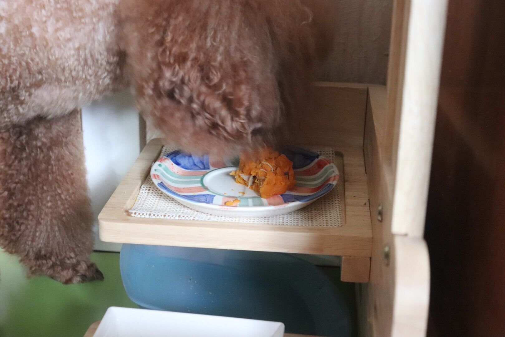 图片1