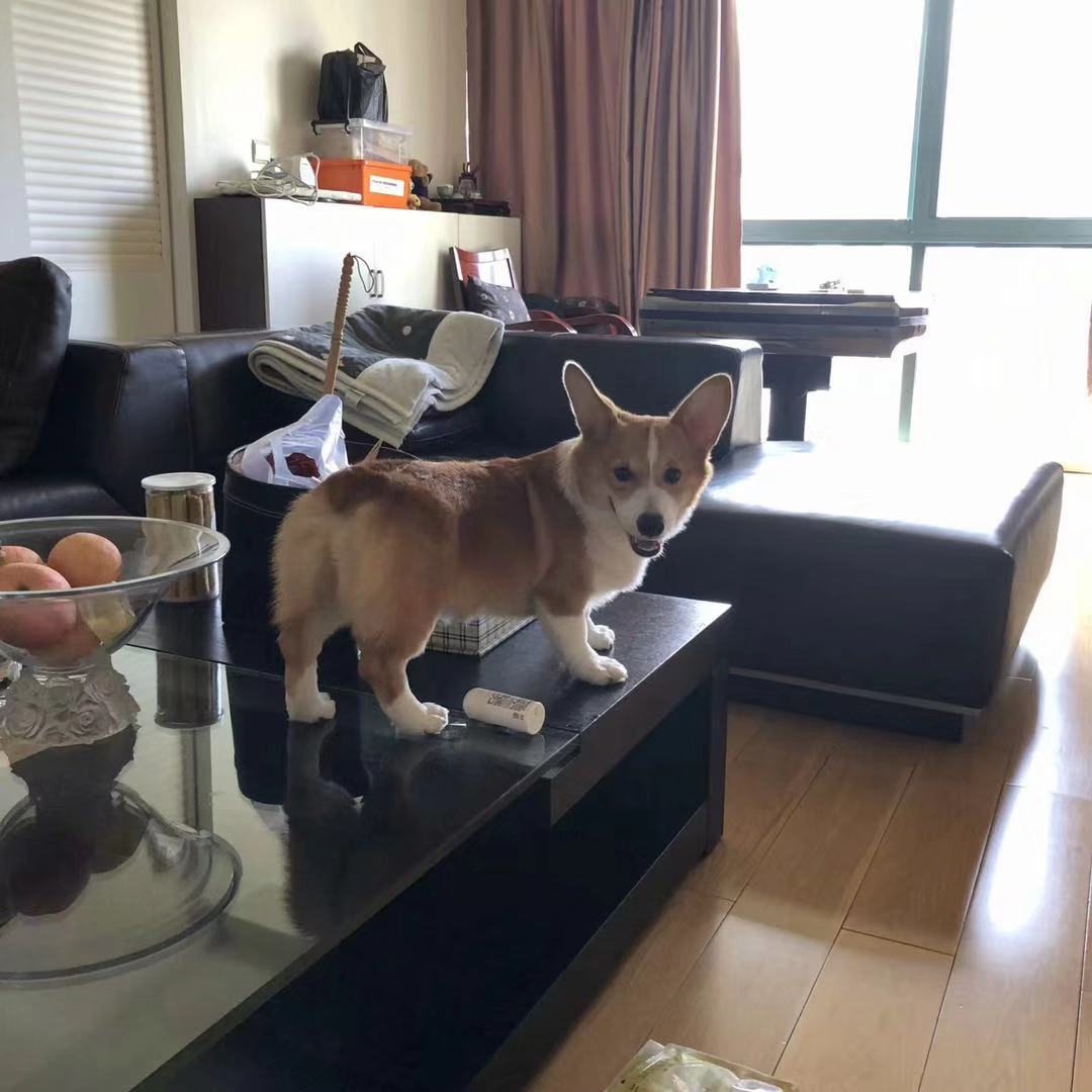 图片1