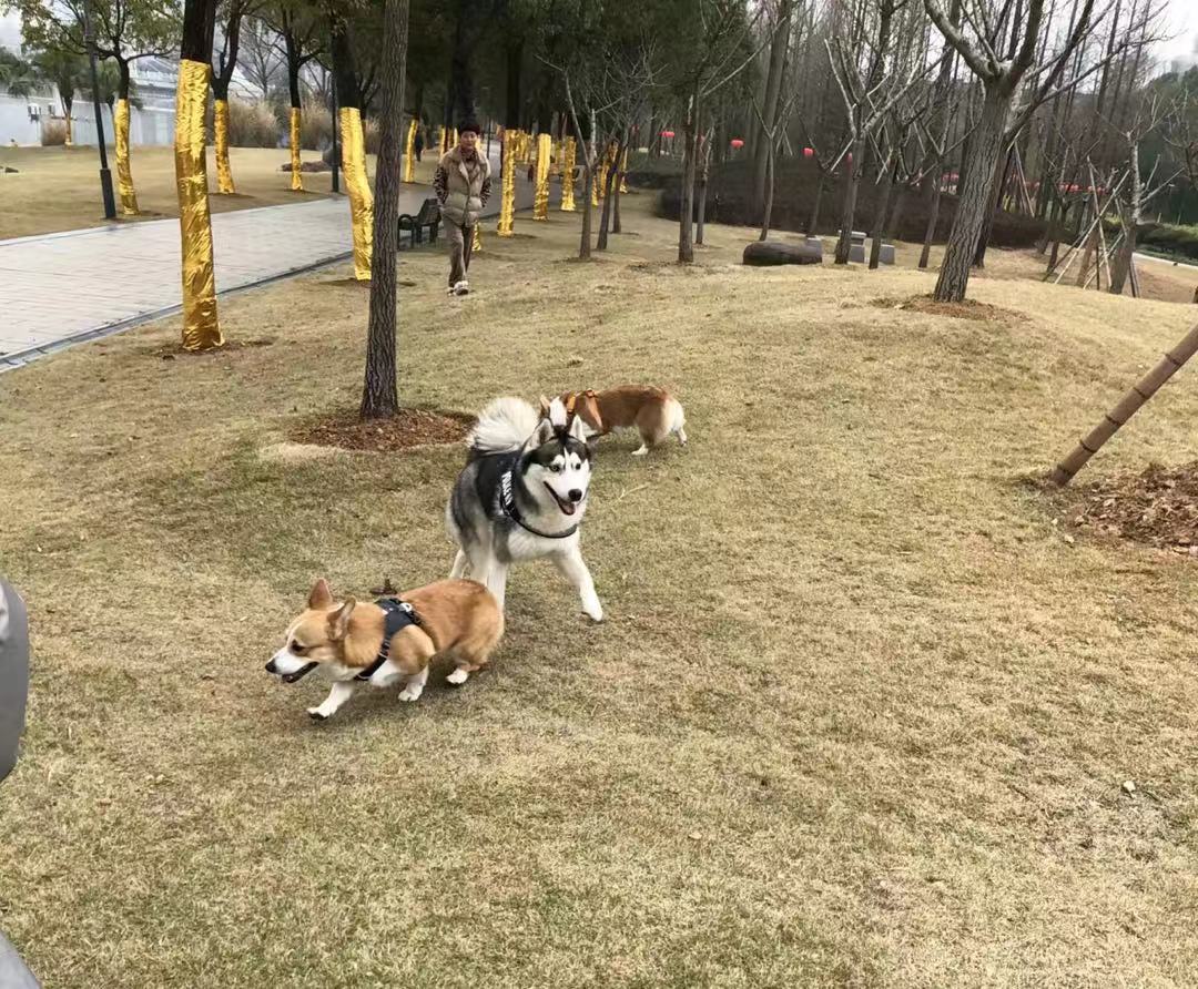 图片1