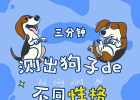 Three minutes to measure the dog's different personalities