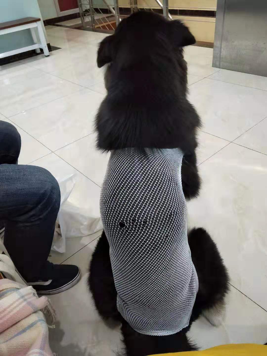图片1