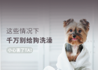 Be careful of harming TA! Never wash your dog under these circumstances!