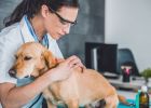 What is a vaccine? Understand it and don't blindly follow injections