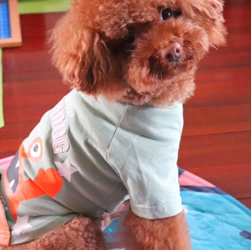 图片1
