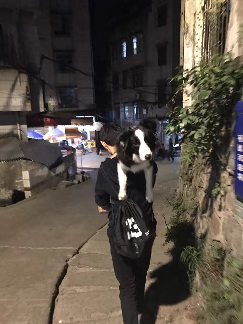 图片1