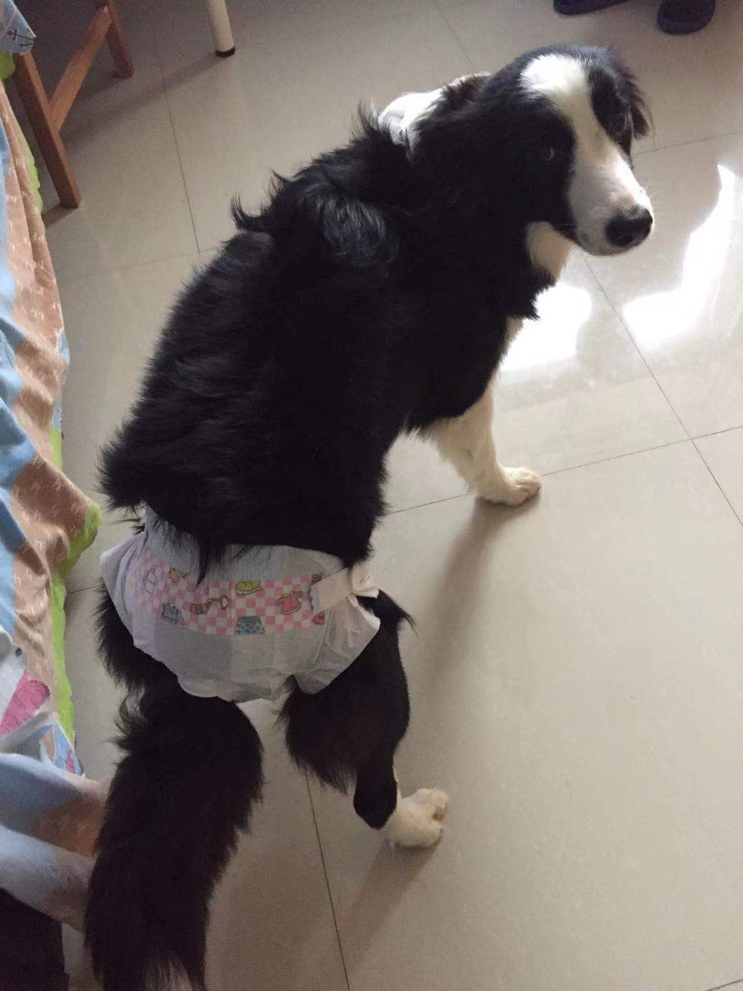 图片1