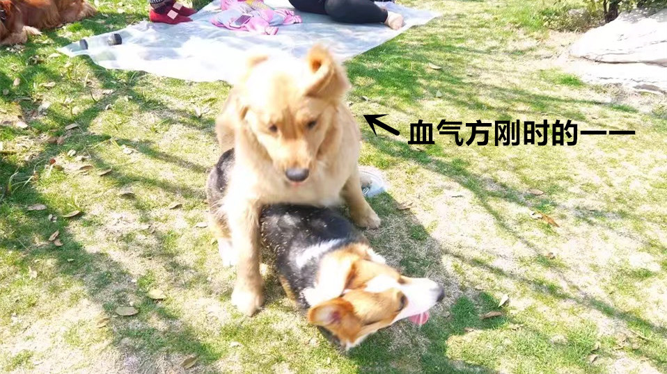 图片1