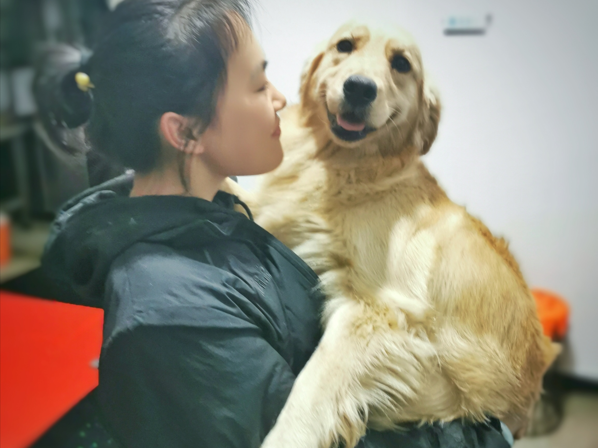图片1