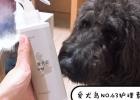 The secret to making dog hair soft and unknotted, Love Dog Island Care Essence Spray
