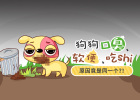 The reason why dogs have bad breath, soft stool and eat feces is the same?!