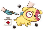 Before vaccinating your dog, you need to know these things!