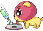 What kind of water should dogs drink? Tap water, purified water, mineral water?