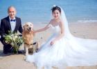 A big inventory of pet black technology products: Technology benefits the pet circle!