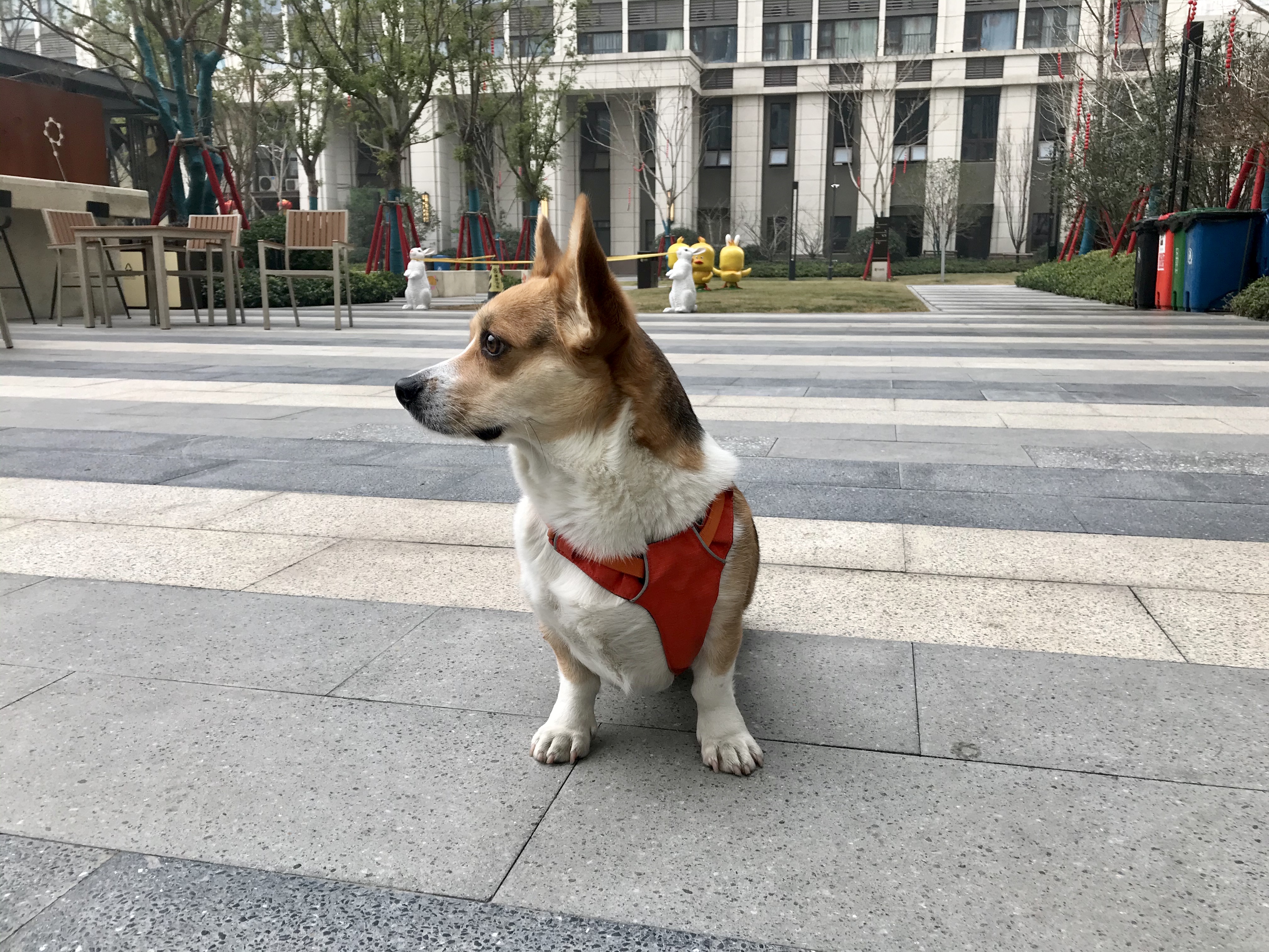 图片1