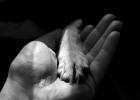 During the epidemic, 10 things to pay attention to when raising pets