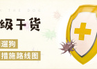 Roadmap of protective measures for walking dogs during the epidemic period