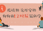 The dog's 12 hours during the epidemic period have been arranged, please sign for it!