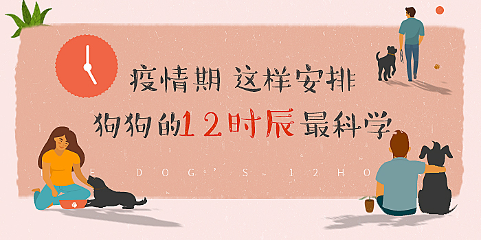 The dog's 12 hours during the epidemic period have been arranged, please sign for it!