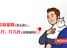 During the epidemic prevention period, cats and dogs that were in seclusion missed the vaccination! What should I do?