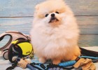 Learn to choose the traction rope correctly to make travel comfortable and unfettered