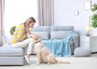 What about dog breeding, breeding in heat, and sterilization at the right time?