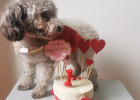 Hey, baby happy birthday