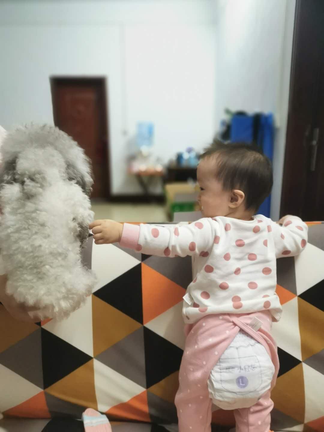图片1